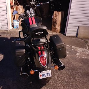 new saddles