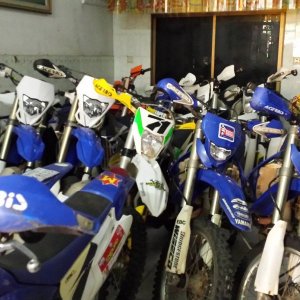 Our trusty Steeds