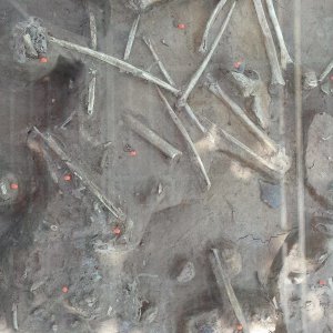 S-21 Prison and Choeung Ek Killing Fields