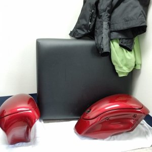 Corbin Beetles