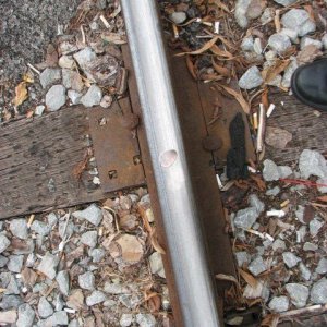 Penny on the tracks