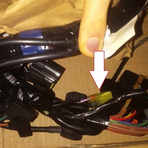 Rocket III main harness tilt sensor plug