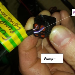 Rocket III fuel pump & level sender assembly plug