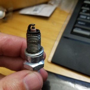 spark plug 3