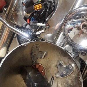 Headlight Disassembled