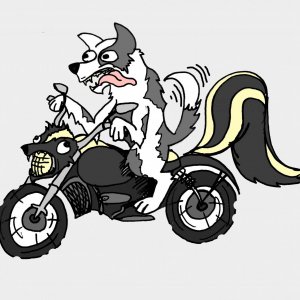 Son of Dog