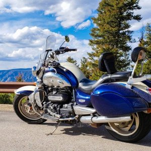 Out on Beartooth Pass