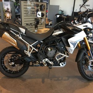 2020 Tiger 900 Rally Pro