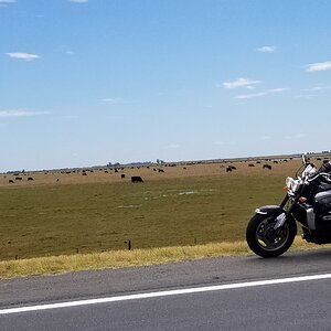 Buenos Aires countryside, Argentina