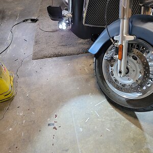20210727_115617.jpg
