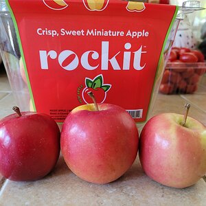 r3apple.jpg