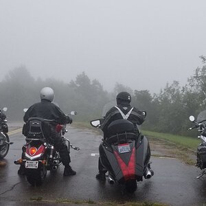 Foggy from the back