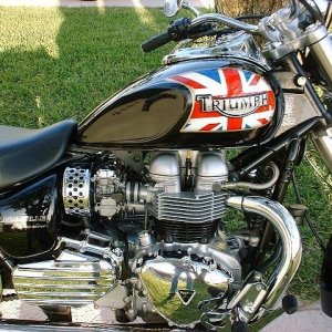 Cool Bonny tank