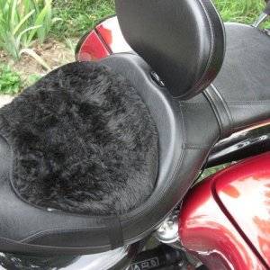Seat Pad