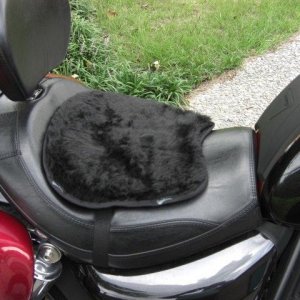 Seat Pad