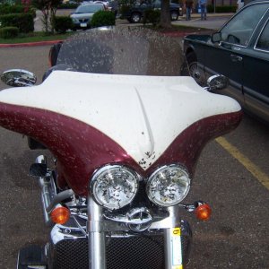East Tx Love Bug Assault