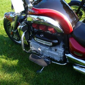 Rocket at Larz Anderson Day Meet