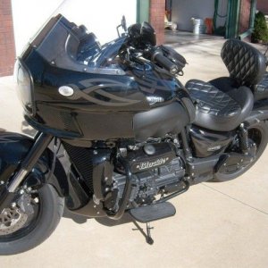 blackie2