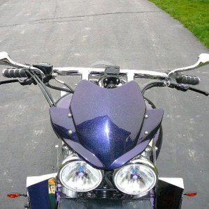 Evilbob xl flyscreen
