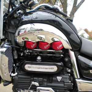 Bearclaw cut with pre-filters on triple K&N's