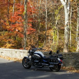 Fall Rocket 3