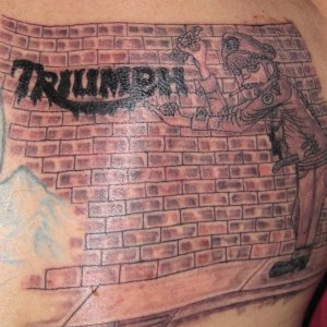 my triumph tattoo