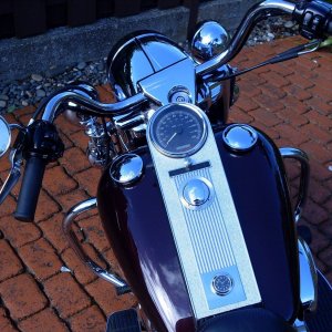 SDC10752