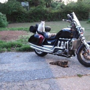 Rocket on the GO!