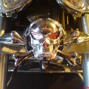 Scull cover