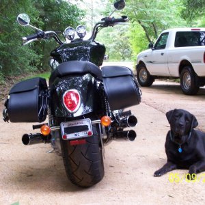 willie and max saddlebags with cree