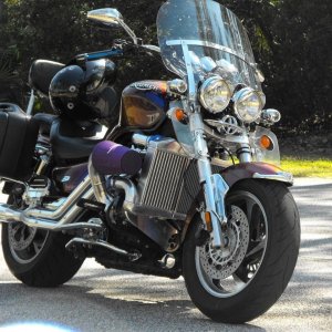 the Beast 2010 Bike Week