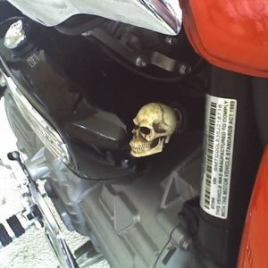 skull key 1