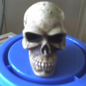 skull key 3