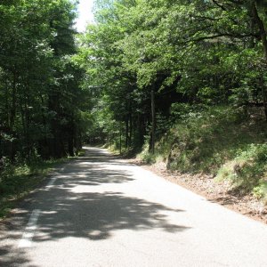 typical mountain road
