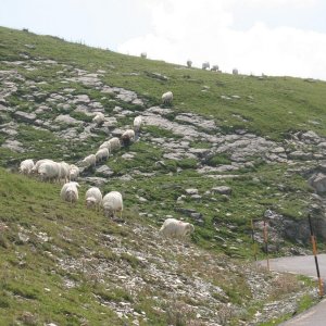 IMG 3573