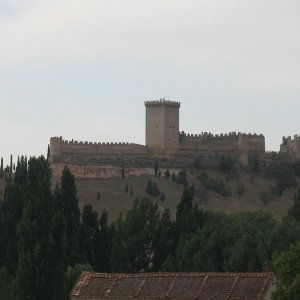 IMG 3602