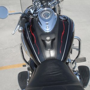 daves pics 258