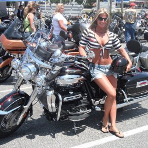daves pics 280