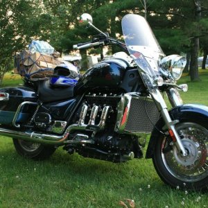 M.L.C.R. 2010