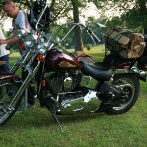 M.L.C.R. 2010
