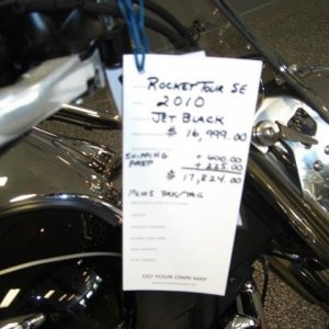 D D Cycles Black R3T 081210 004