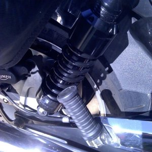 Progressive 440's at full adjustment