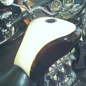 Photos