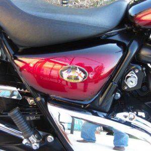 Triumph decal pics 021211 003