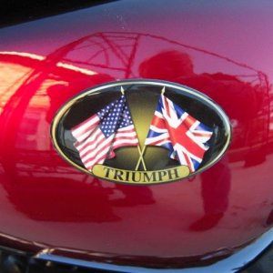Triumph decal pics 021211 006