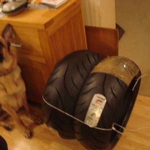 Front & Rear tyres both 240/18