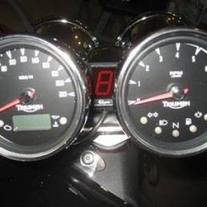 131
