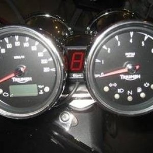 131