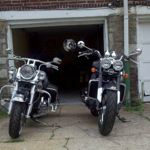 Newest Toys