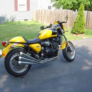 Bumble Bee 002